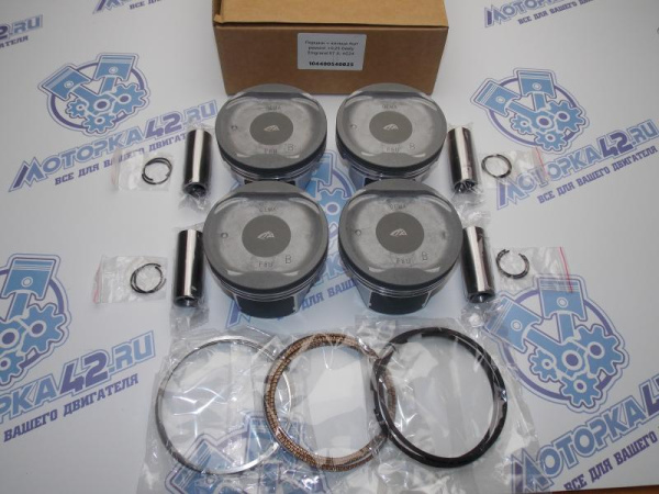 Поршни + кольца 4шт ремонт +0,25 Geely Emgrand X7 JL-4G24