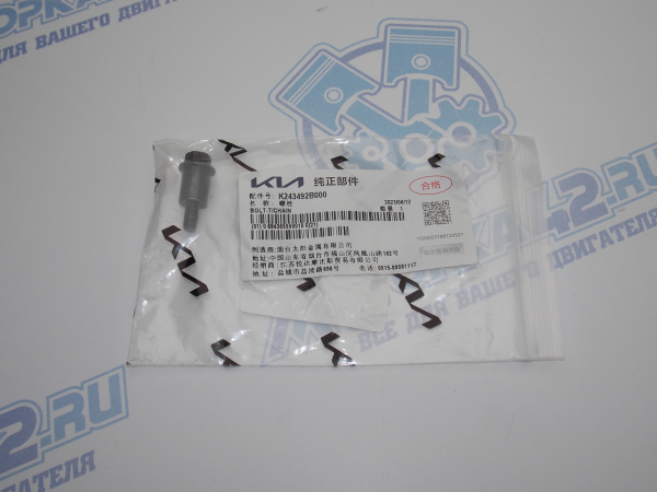 Болт успокоителя цепи Hyundai/Kia G4FA, G4FC, G4FG