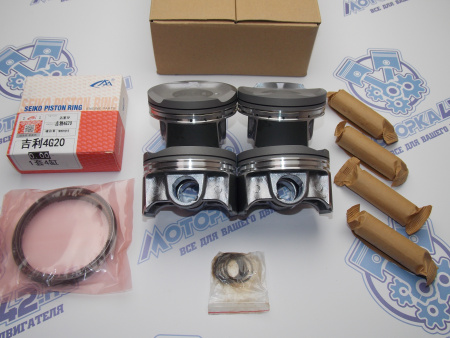 Поршни + кольца 4шт стандарт Geely Emgrand X7 JL-4G20