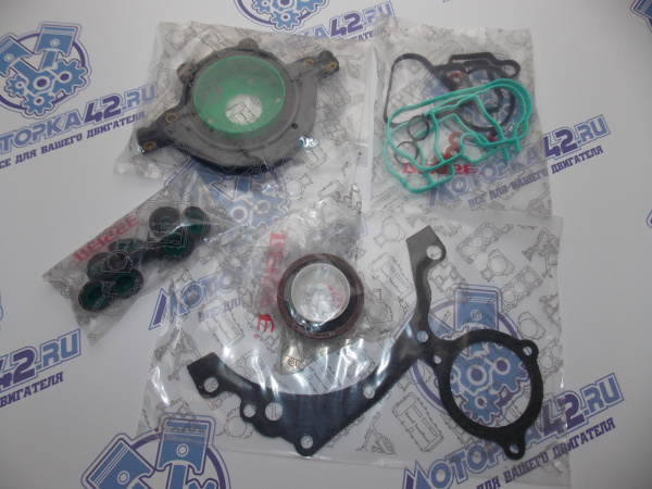 Ремкомплект двигателя FORD FOCUS 1 Zеteс Rосam 