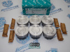 Поршни + кольца к-кт 6шт стандарт MAZDA / FORD AJ-DE