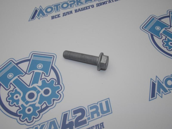Болт коленвала RENAULT