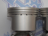 Поршни + кольца к-кт 4шт стандарт GM F14D3