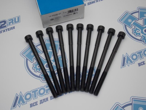 Комплект болтов ГБЦ 10шт TOYOTA 1ZZ-FE, 3ZZ-FE