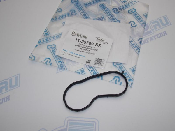 Прокладка помпы FORD Focus II 1,6 HXDA 04>