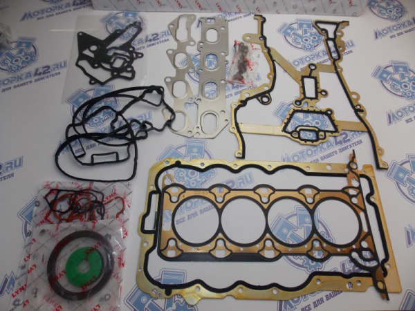 Ремкомплект двигателя LYNX Z14XEP