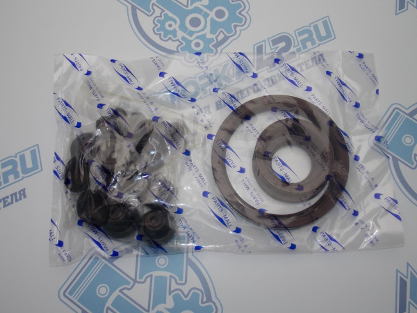 Ремкомплект двигателя PMC GM F14D3, F16D3 06-