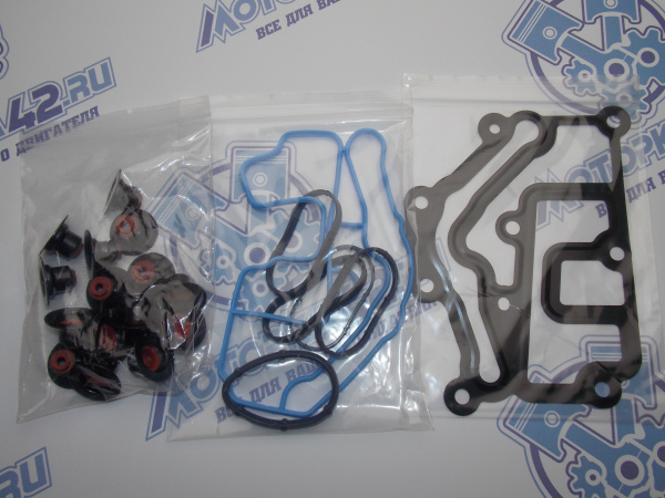 Ремкомплект Master KiT двигателя Renault K4M