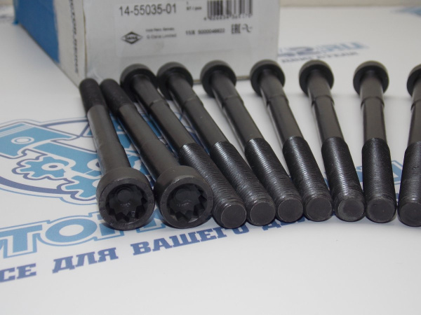 Комплект болтов ГБЦ 10шт TOYOTA 1ZZ-FE, 3ZZ-FE