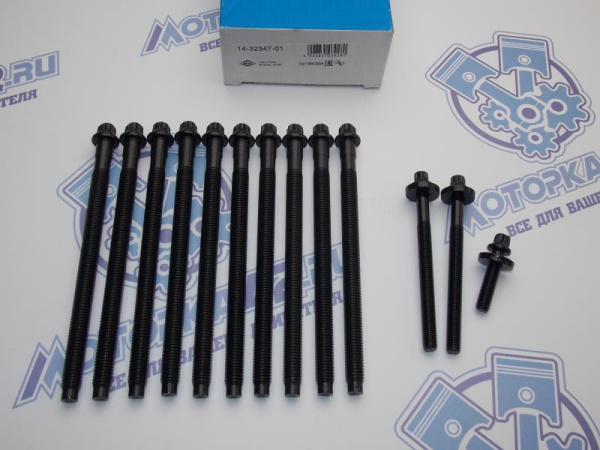 Комплект болтов VR ГБЦ 13 шт EP6