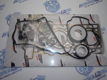 Ремкомплект двигателя ESPRA EP6