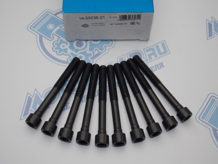 Комплект болтов ГБЦ VR 10шт TOYOTA 1SZ, 2SZ, K3VE '00-