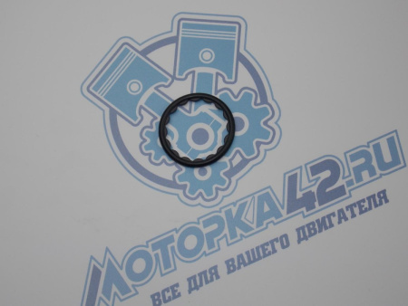 Кольцо лобовины NISSAN QG18DD, QG1#DE '98-