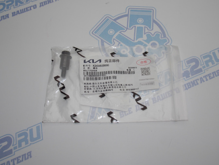 Болт успокоителя цепи Hyundai/Kia G4FA, G4FC, G4FG