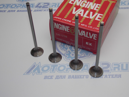 Клапан вЫпускной DOKURO HONDA D / R / K серии