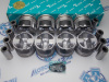 Поршни TEIKIN к-кт 8шт стандарт STD TOYOTA 1VD-FTV