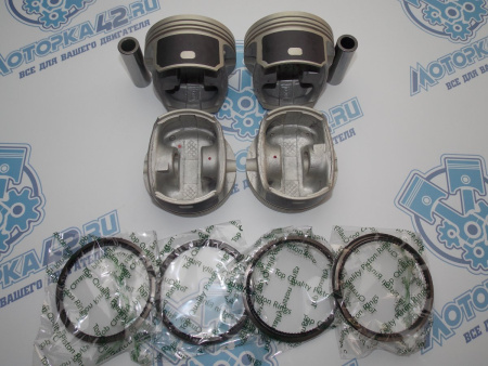 Поршни + кольца к-кт 4шт стандарт FORD Focus 115л.с.