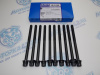 Болты ГБЦ AJUSA 10шт HONDA K20, K24