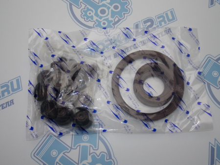 Ремкомплект двигателя PMC GM F14D3, F16D3 06-