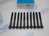 Комплект болтов ГБЦ VR 10шт TOYOTA 3S, 4S, 5S