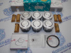 Поршни + кольца к-кт 6шт стандарт FORD LCBD