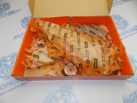 Комплект цепи ГРМ MASUMA PEUGEOT-CITROEN EP6