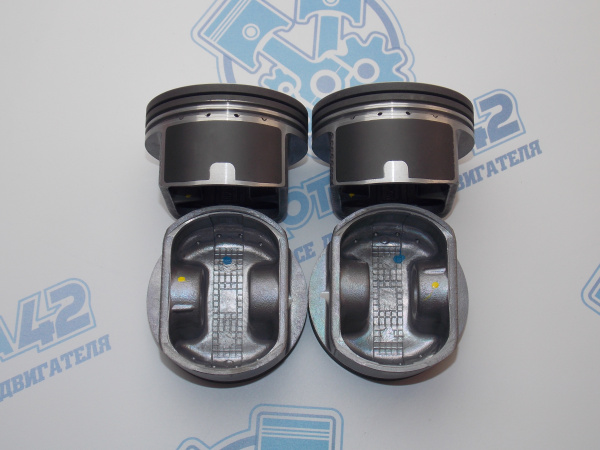 Поршни + кольца TEIKIN стандарт NISSAN CGA3DE