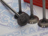 Клапан вЫпускной N-ROCKY NISSAN MR18DE, MR20DE