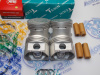 Поршни + кольца 4шт стандарт NISSAN 1.3 QG13DE