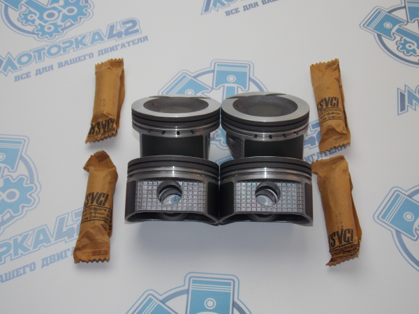 Поршни + кольца TEIKIN стандарт NISSAN CGA3DE