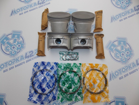 Поршни + кольца 4шт стандарт NISSAN QG18DE
