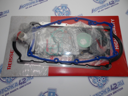 Ремкомплект двигателя FORD FOCUS 1 Zеteс Rосam 