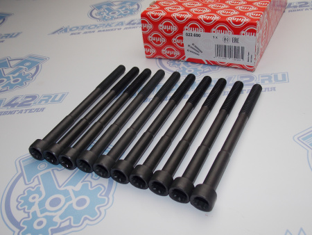 Комплект болтов ГБЦ ELRING 10шт TOYOTA 1ZZ-FE, 3ZZ-FE